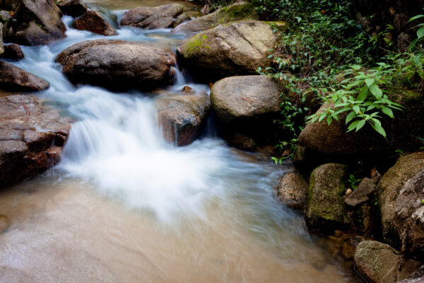3-picinguaba-cachoeira-floresta-caminhadas