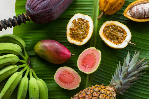 picinguaba-alimento-frutas-tropicais